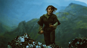 giphy (6)