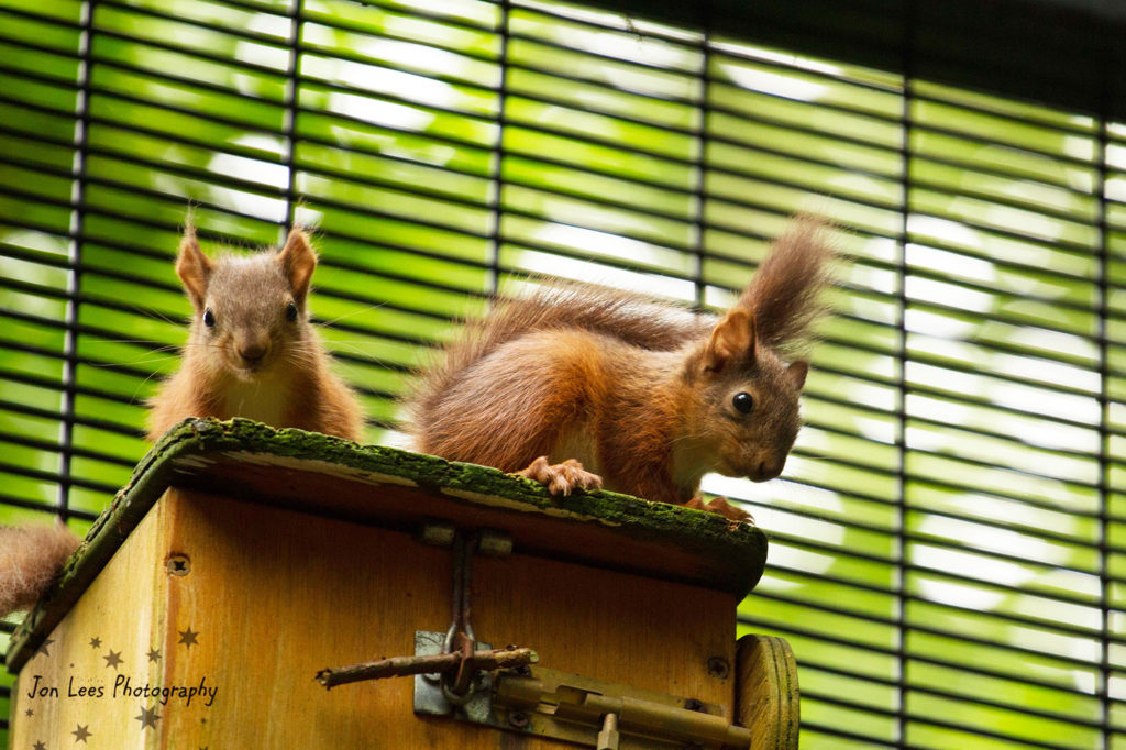 Belfast Zoo