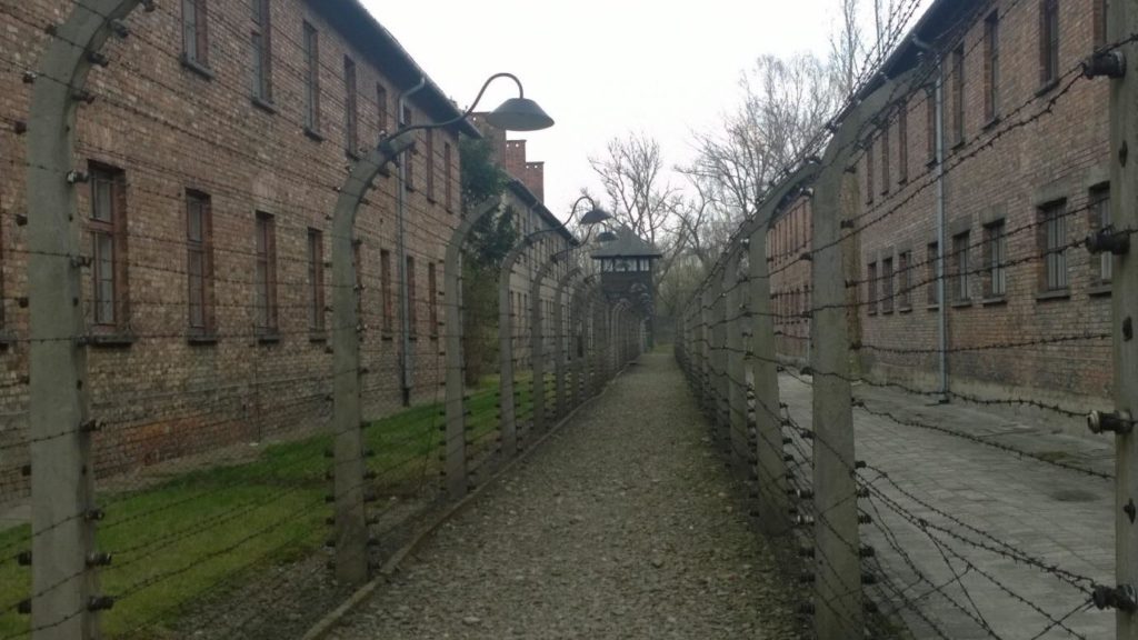 Cell block pathway of barbed wire barricades