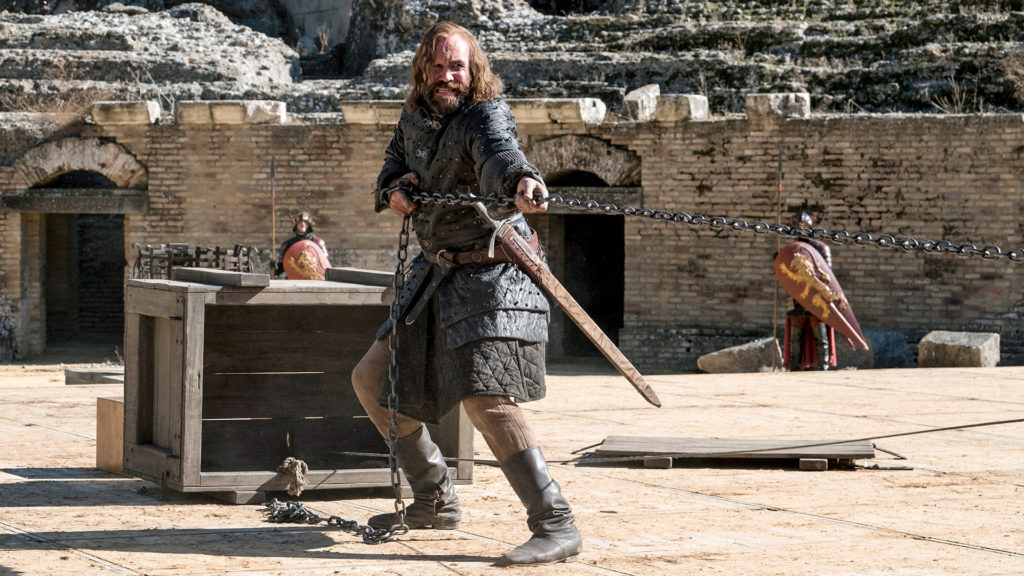 The Hound, played by Rory McCann 